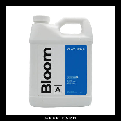 Athena, Bloom A, 946ml, 32oz, Vorderansicht