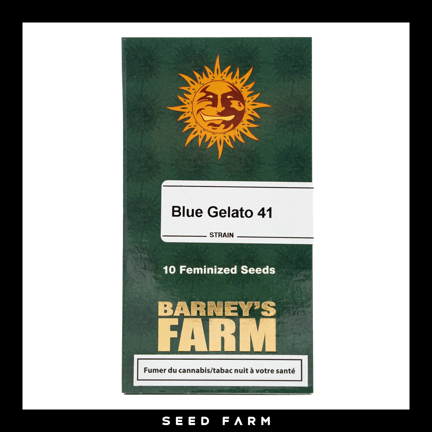Barneys Farm, Blue Gelato 41, feminisierte Cannabis Samen, 10 Stück, Vorderansicht