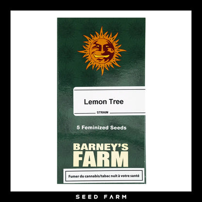 Barneys Farm Lemon Tree feminisierte Cannabis Samen, 5 Stück, Vorderansicht