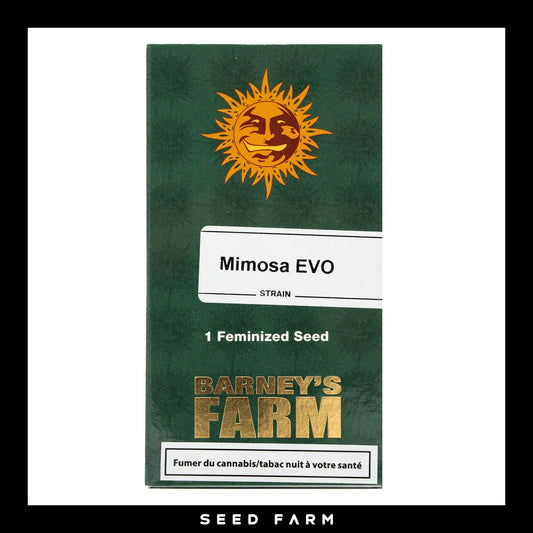 Barneys Farm, Mimosa Evo, feminisierte Cannabis Samen, 1 Stück, Vorderansicht