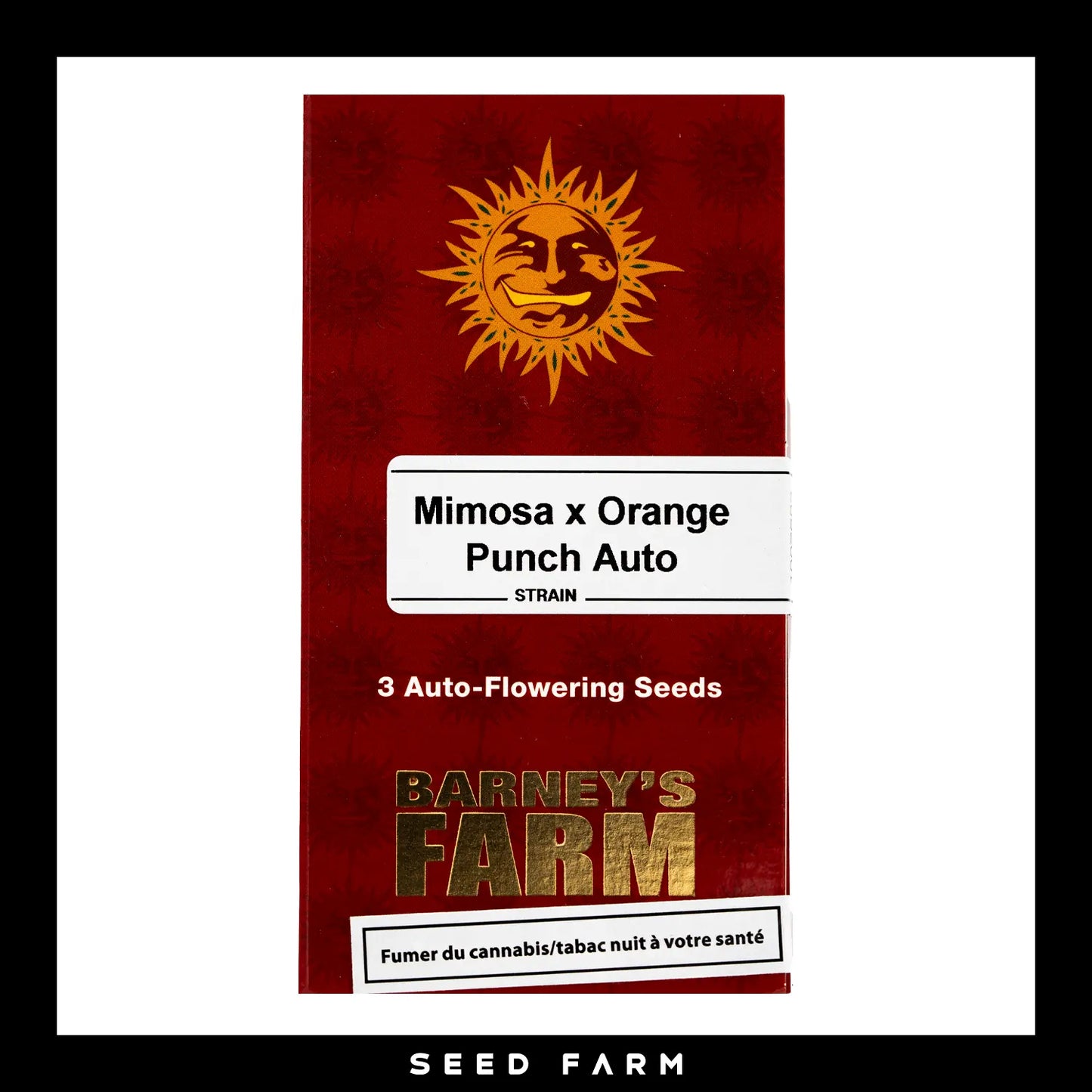Barneys Farm Mimosa x Orange Punch Automatic Cannabis Samen, 3 Stück, Vorderansicht