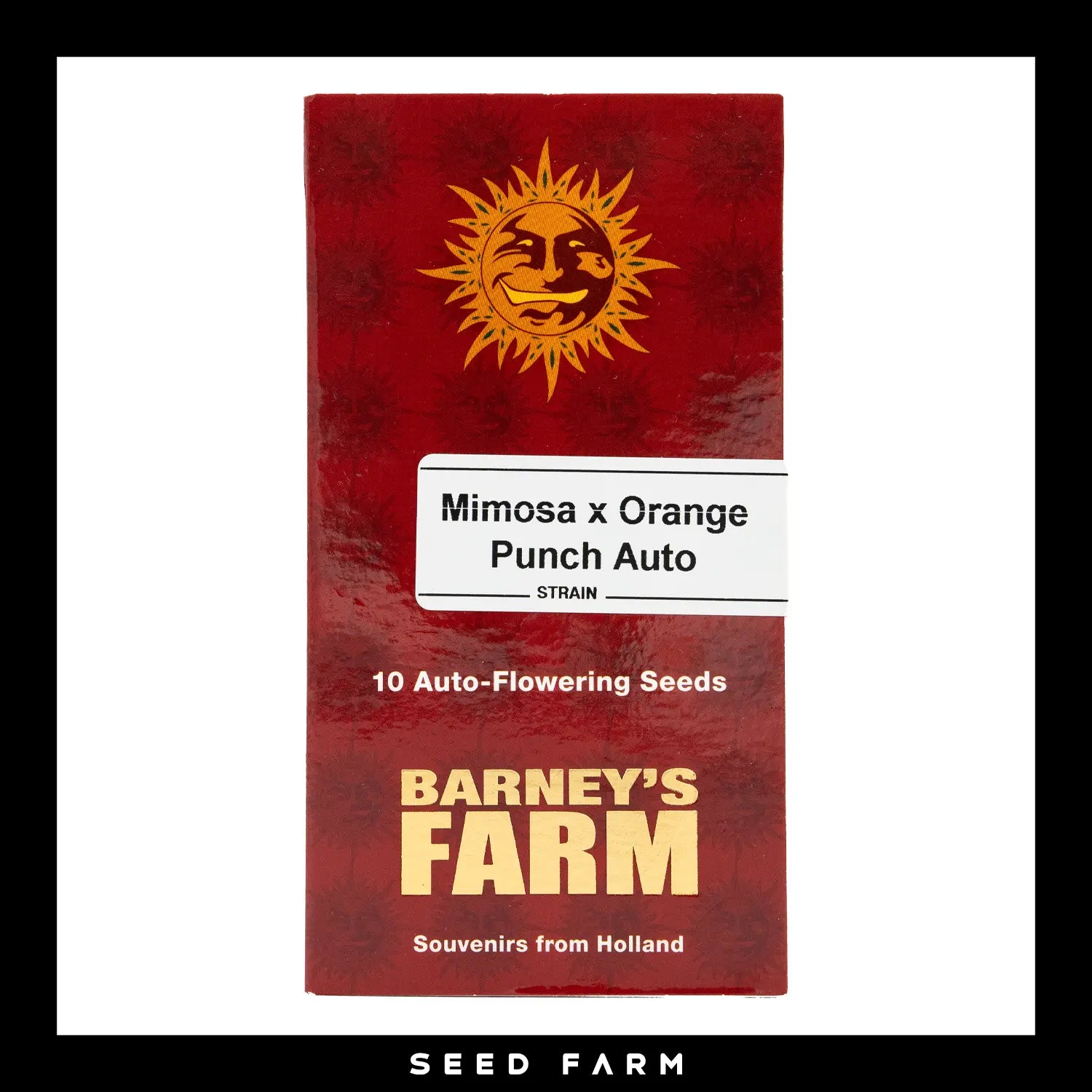Barneys Farm, Mimosa x Orange Punch, automatische Cannabis Samen, 10 Stück, Vorderansicht