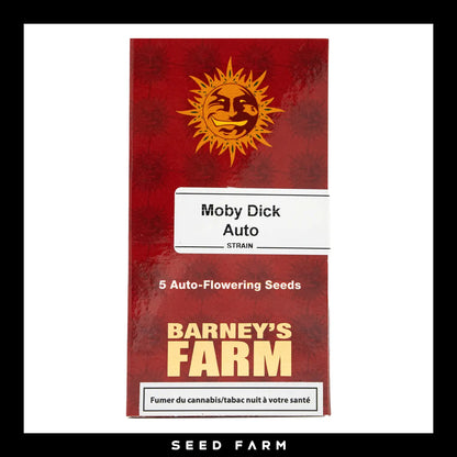 Barneys Farm, Moby Dick, automatisierte Cannabis Samen, 5 Stück, Vorderansicht