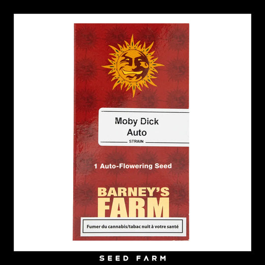 Barneys Farm, Moby Dick, automatisierte Cannabis Samen, 1 Stück, Vorderansicht