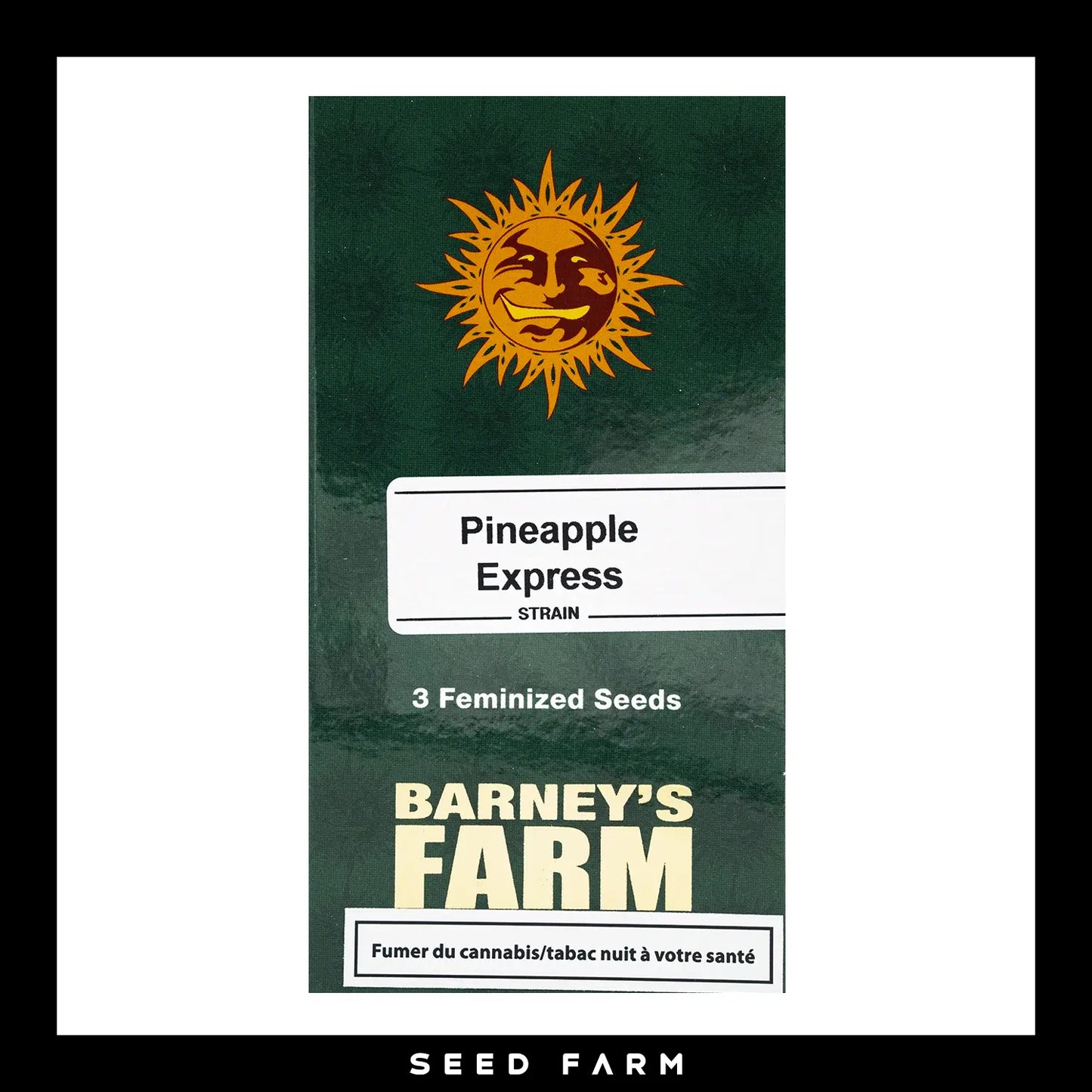 Barneys Farm Pineapple Express feminisierte Cannabis Samen, 3 Stück, Vorderansicht