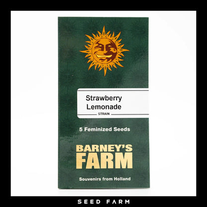 Barneys Farm, Strawberry Lemonade, feminisierte Cannabis Samen, 5 Stück, Vorderansicht