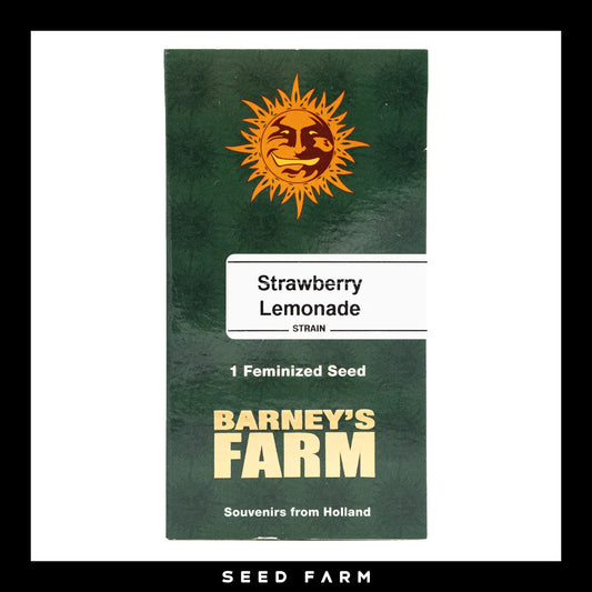 Barneys Farm, Strawberry Lemonade, feminisierte Cannabis Samen, 1 Stück, Vorderansicht