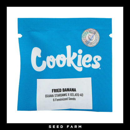 Cookies, Fried Banana, feminisierte Cannabis Samen, 6 Stück, Vorderansicht