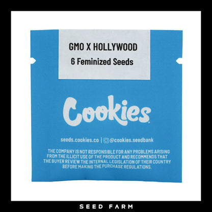 Cookies Hollywood, GMO x Hollywood, feminisierte Cannabis Samen, Vorderansicht