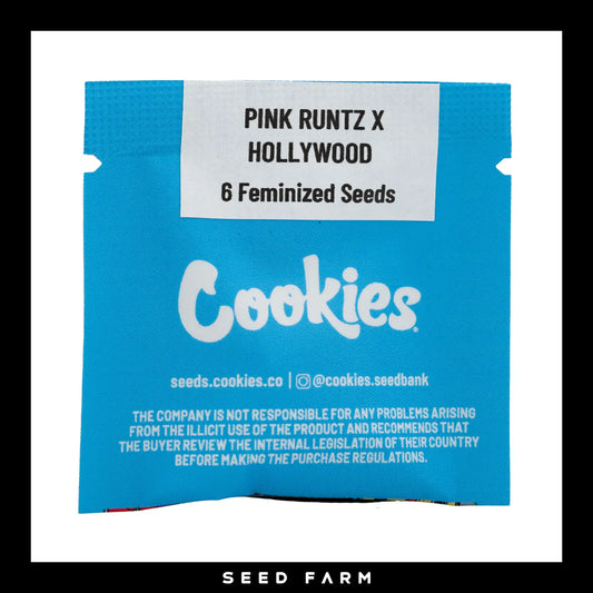 Cookies Hollywood, Pink Runtz x Hollywood, feminisierte Cannabis Samen, 6 Stück, Vorderansicht