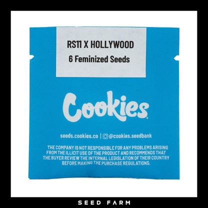 Cookies Hollywood, RS11 x Hollywood, feminisierte Cannabis Samen, 6 Stück, Vorderansicht