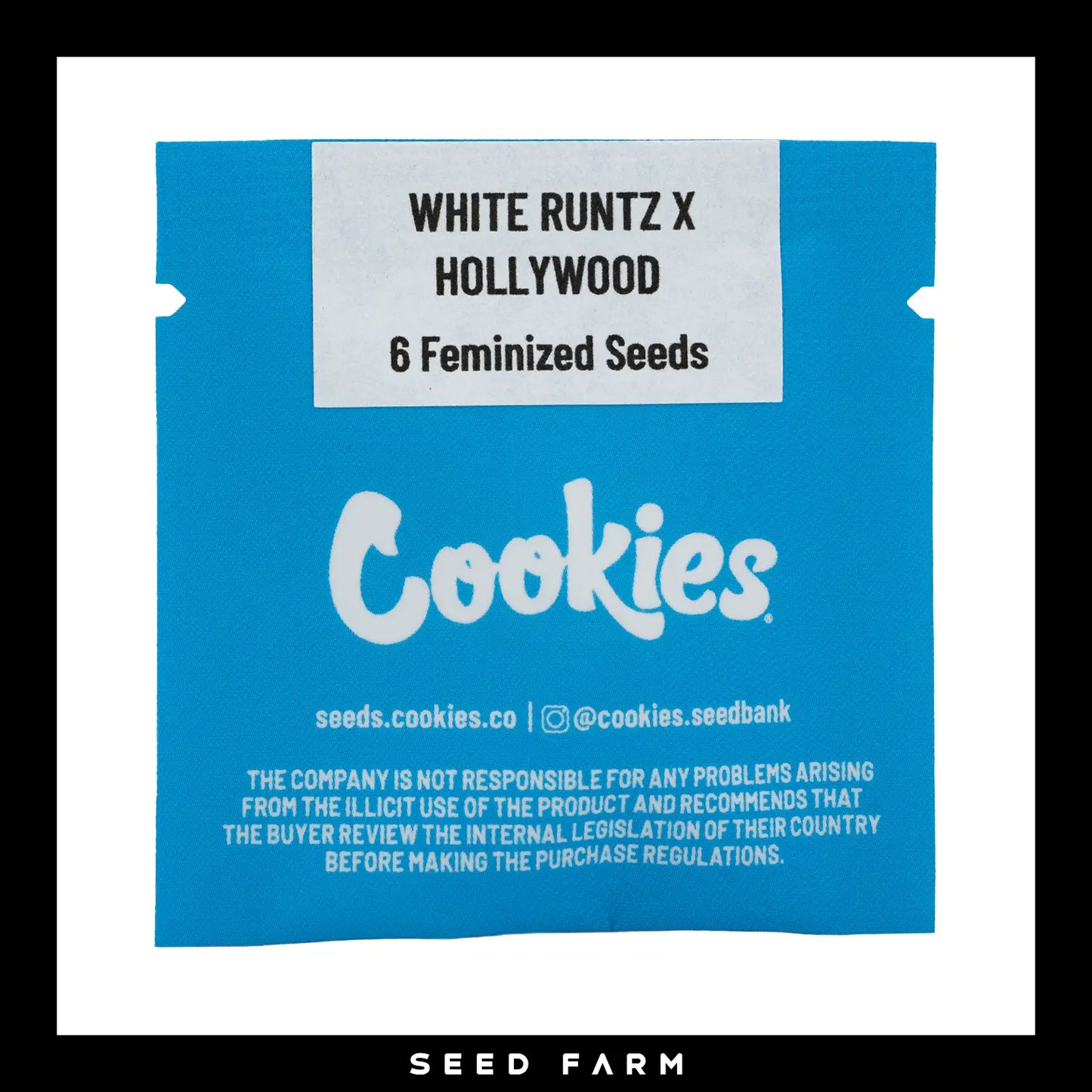 Cookies Hollywood, White Runtz x Hollywood, feminisierte Cannabis Samen, 6 Stück, Vorderansicht