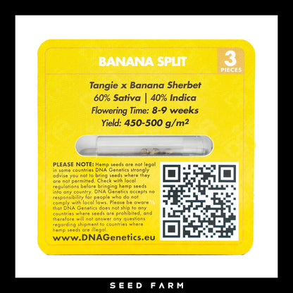 DNA Genetics Banana Split, Crockett Family Farm, regular Cannabis Samen, 3 Stück, RückseiteDNA Genetics Banana Split, Crockett Family Farm, regular Cannabis Samen, 3 Stück, Rückseite