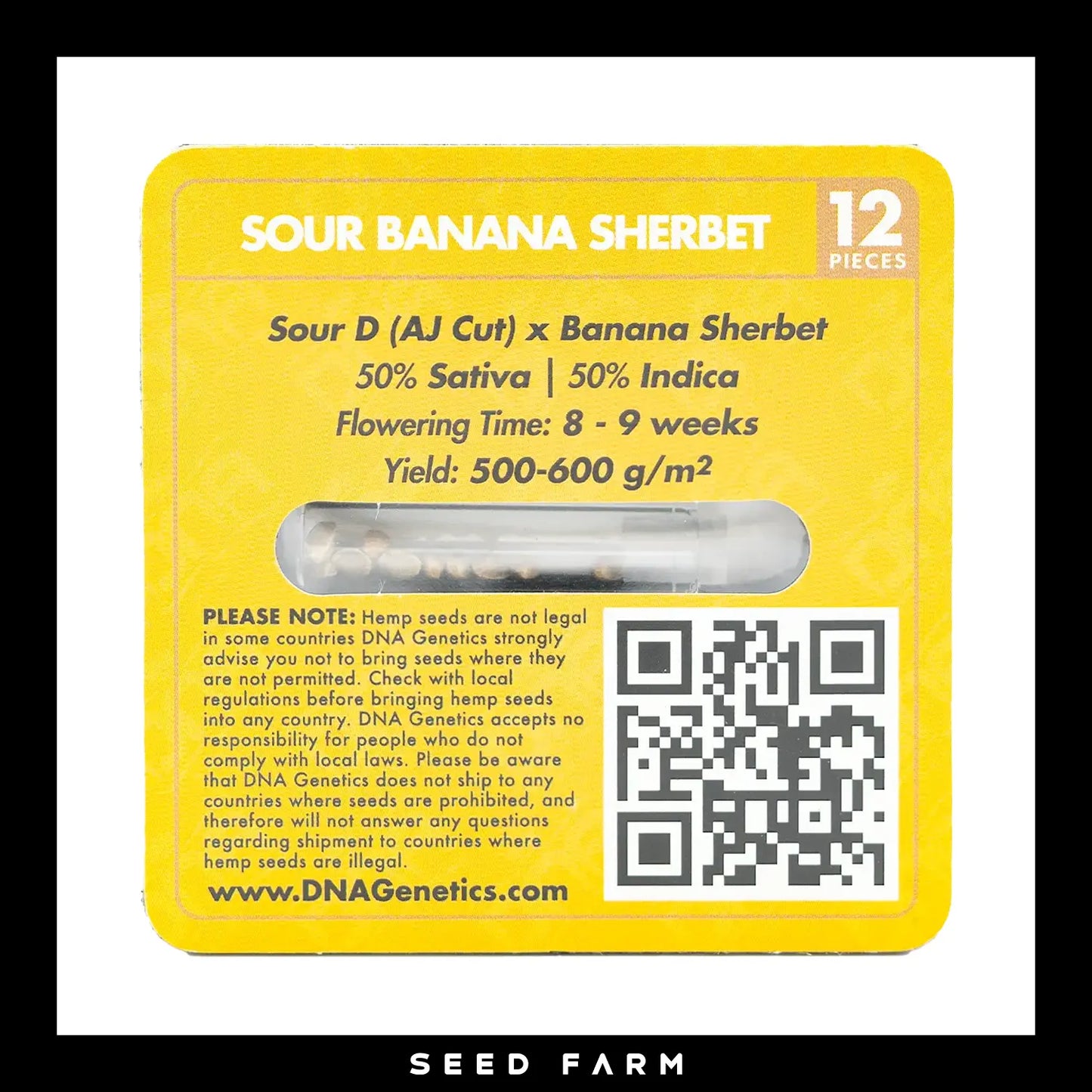 DNA Genetics Sour Banana Sherbet, Crockett Family Farm, regular Cannabis Samen, 12 Stück, Rückansicht