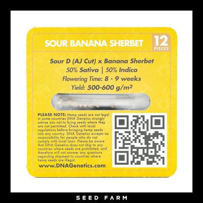 DNA Genetics Sour Banana Sherbet, Crockett Family Farm, regular Cannabis Samen, 12 Stück, Rückansicht