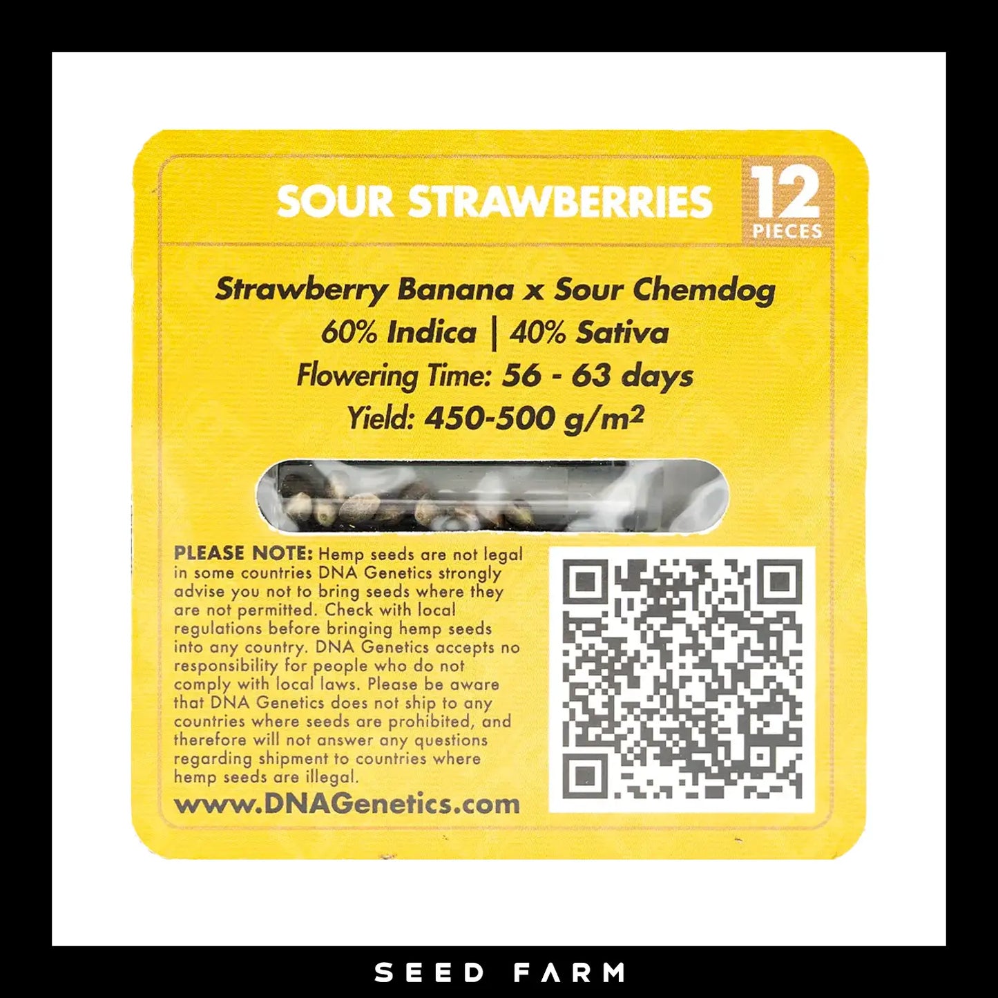 DNA Genetics Sour Strawberries, Crockett Family Farm, regular Cannabis Samen, 12 Stück, Rückansicht