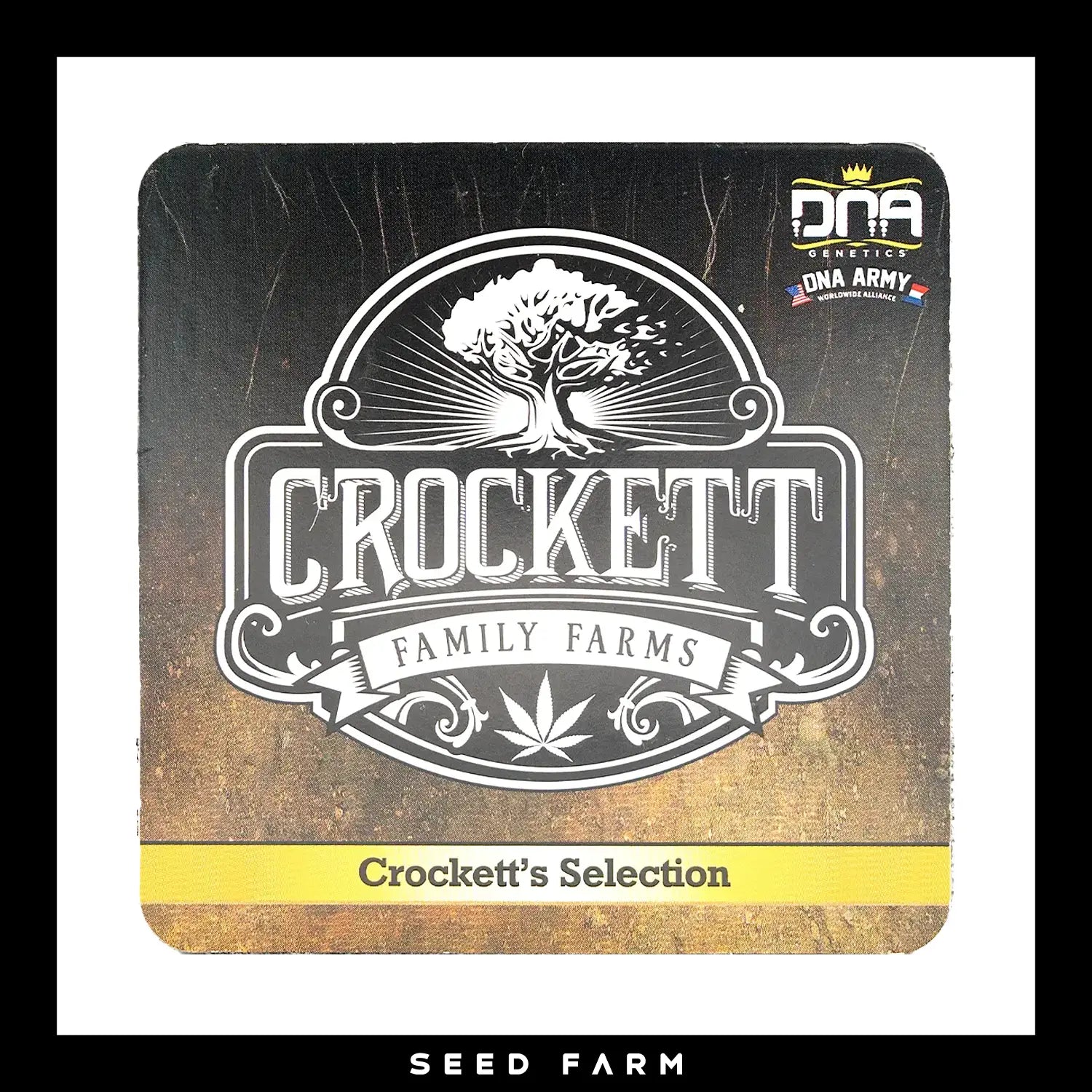 DNA Genetics Sour Strawberries, Crockett Family Farm, regular Cannabis Samen, Vorderansicht