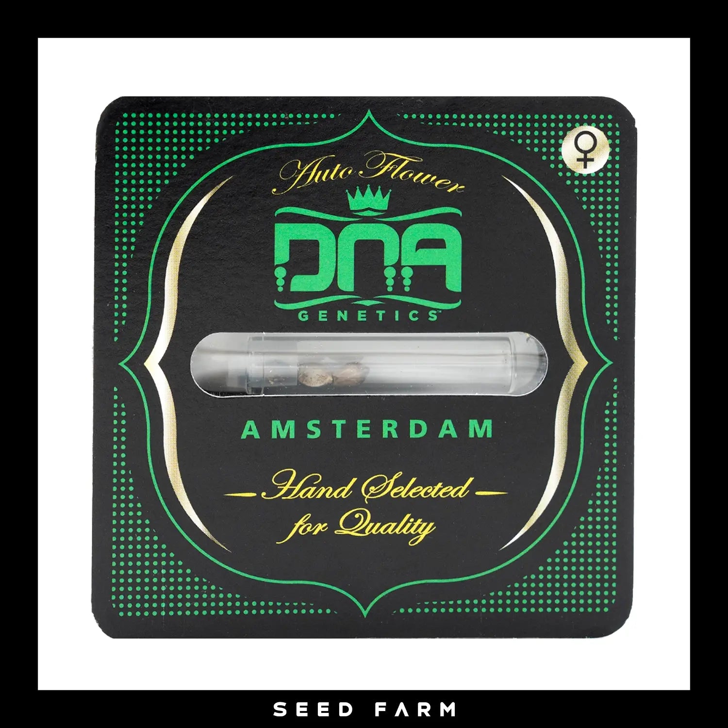 DNA Genetics Strawberry Banana, automatic Cannabis Samen, Vorderansicht