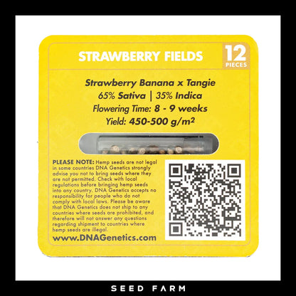 DNA Genetics Strawberry Fields, Crockett Family Farm, regular Cannabis Samen, 12 Stück, Rückansicht