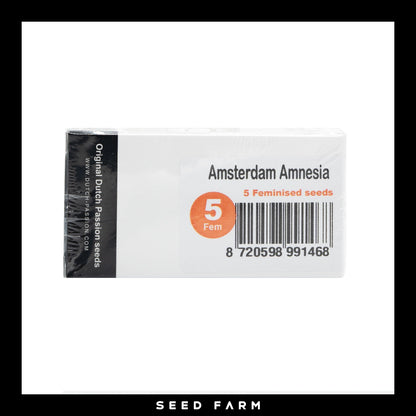 Dutch Passion, Amsterdam Amnesia, feminisierte Cannabis Samen, 5 Stück, Vorderansicht