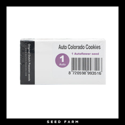 Dutch Passion, Colorado Cookies, automatische Cannabis Samen, Vorderansicht