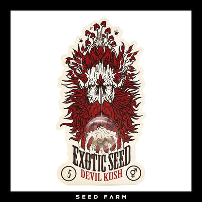 Exotic Seed Devil Kush, regular Cannabis Samen, Vorderansicht