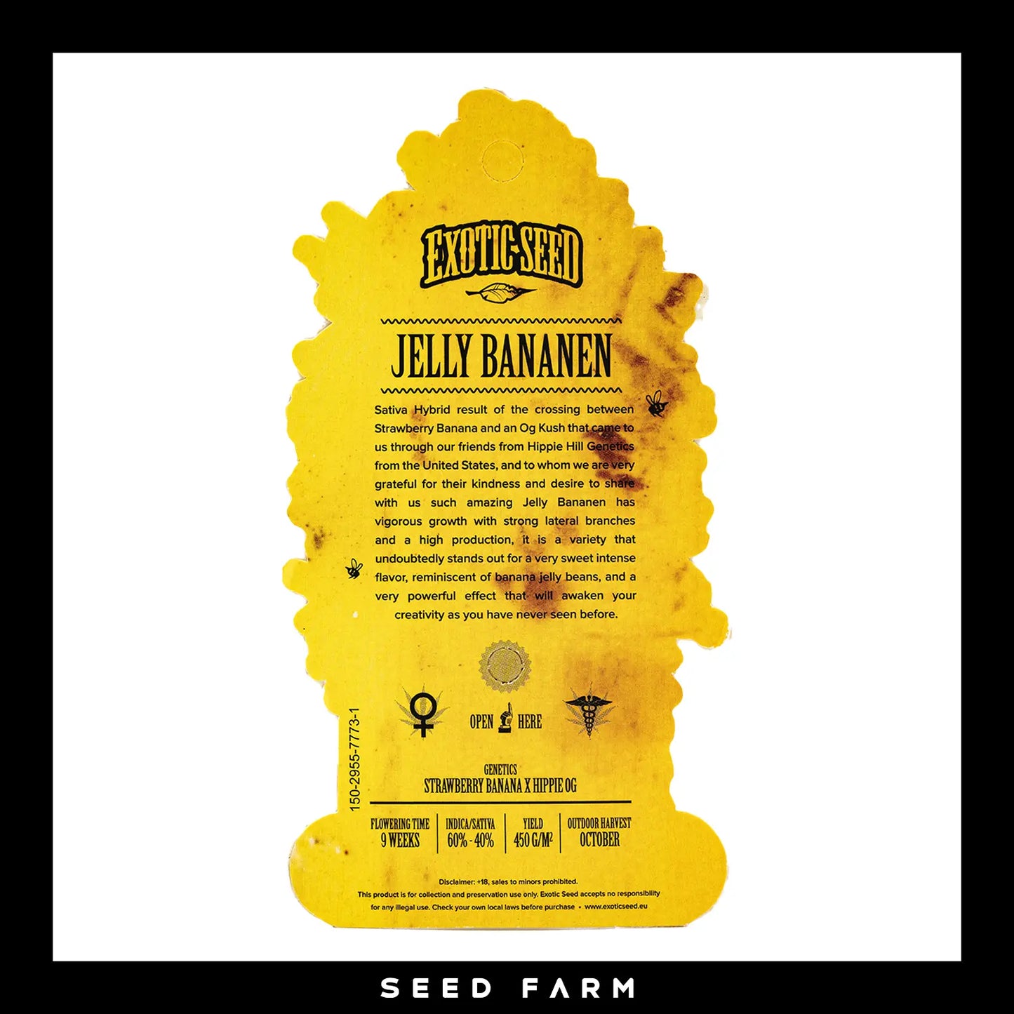 Exotic Seed Jelly Bananen, feminisierte Cannabis Samen, Rückansicht