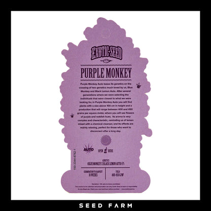 Exotic Seed Purple Monkey, automatic Cannabis Samen, Rückansicht