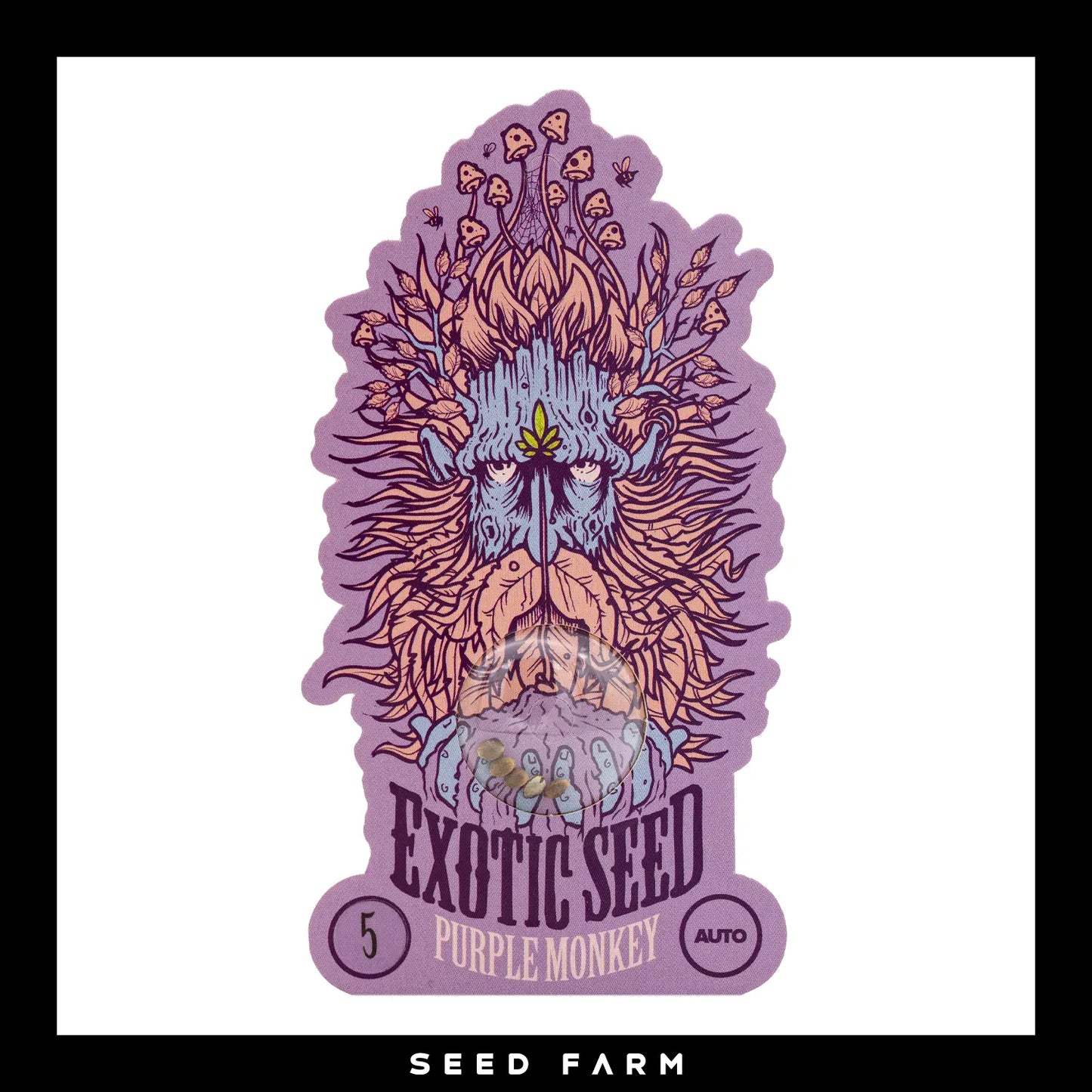 Exotic Seed, Purple Monkey, automatische Cannabis Samen, 5 Stück, Vorderansicht