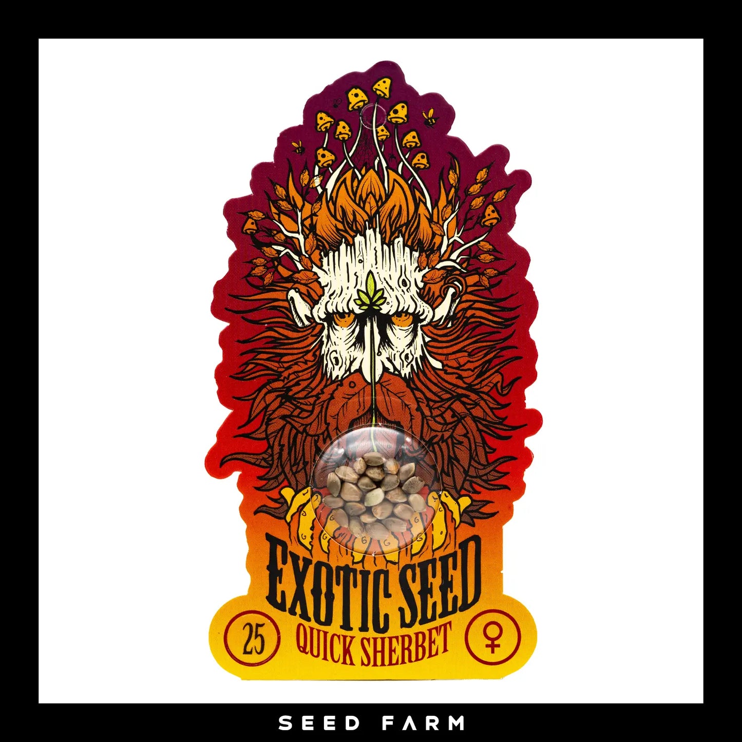 Exotic Seed Quick Sherbet, feminisierte Cannabis Samen, 25 Stück, Vorderansicht