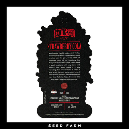 Exotic Seed Strawberry Cola, automatic Cannabis Samen, Rückansicht