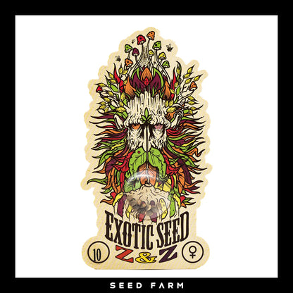 Exotic Seed Z&Z, feminisierte Cannabis Samen, 10 Stück, Vorderansicht