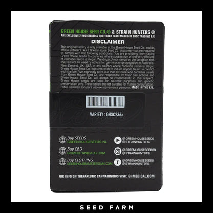 Green House Seed, Sweet Mango, automatische Cannabis Samen, Rückansicht