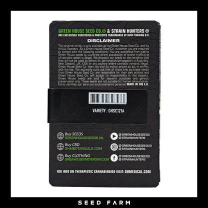 Green House Seeds, Jack Herer, automatische Cannabis Samen, Rückansicht
