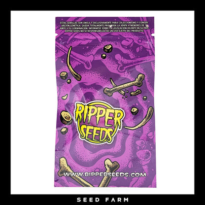 Ripper Seeds Zombie Kush feminisierte Cannabis Samen, Rückansicht