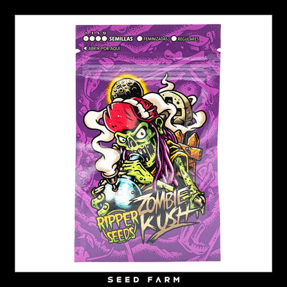 Ripper Seeds Zombie Kush feminisierte Cannabis Samen, Vorderansicht