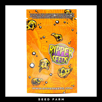 Ripper Seeds Radical Juice feminisierte Cannabis Samen, Rückansicht