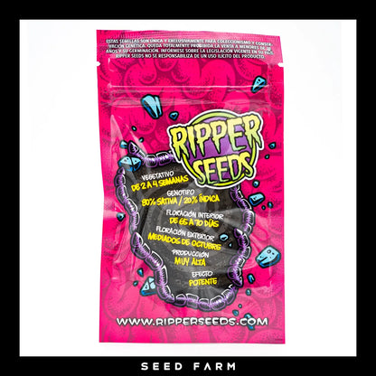 Ripper Seeds, Sour Ripper, feminisierte Cannabis Samen, Rückansicht