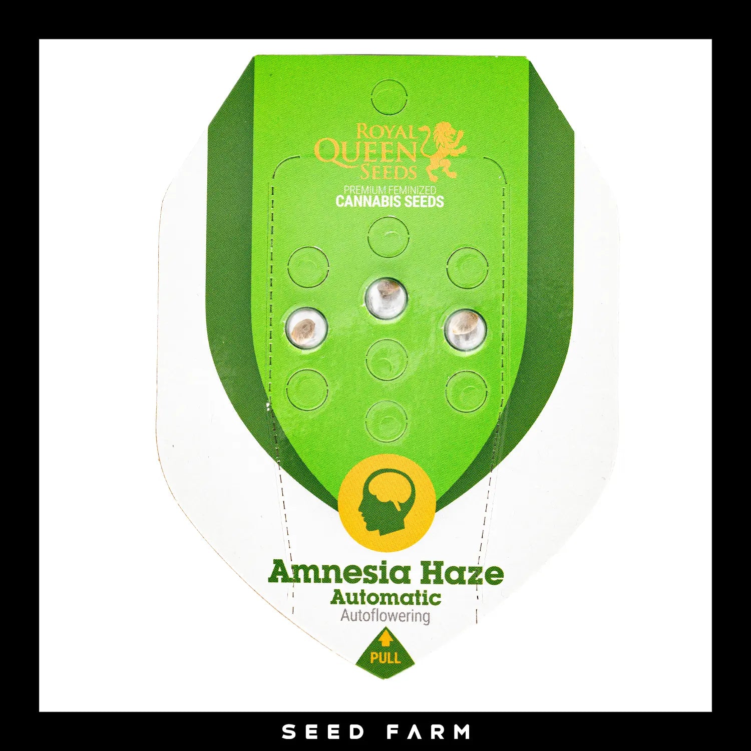 Royal Queen Seeds Amnesia Haze, automatic Cannabis Samen, 3 Stück, Vorderansicht