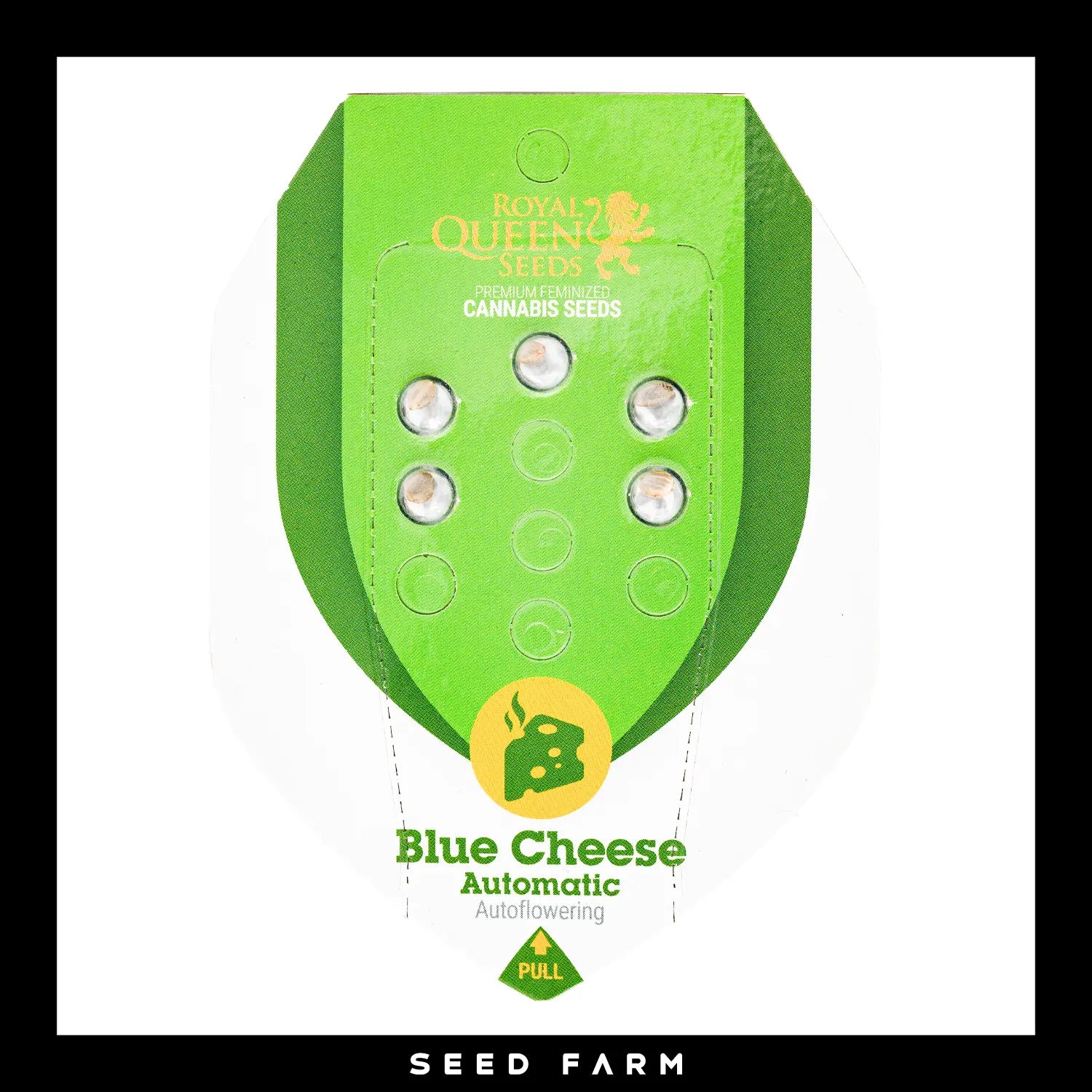 Royal Queen Seeds Blue Cheese, automatic Cannabis Samen, 5 Stück, Vorderansicht