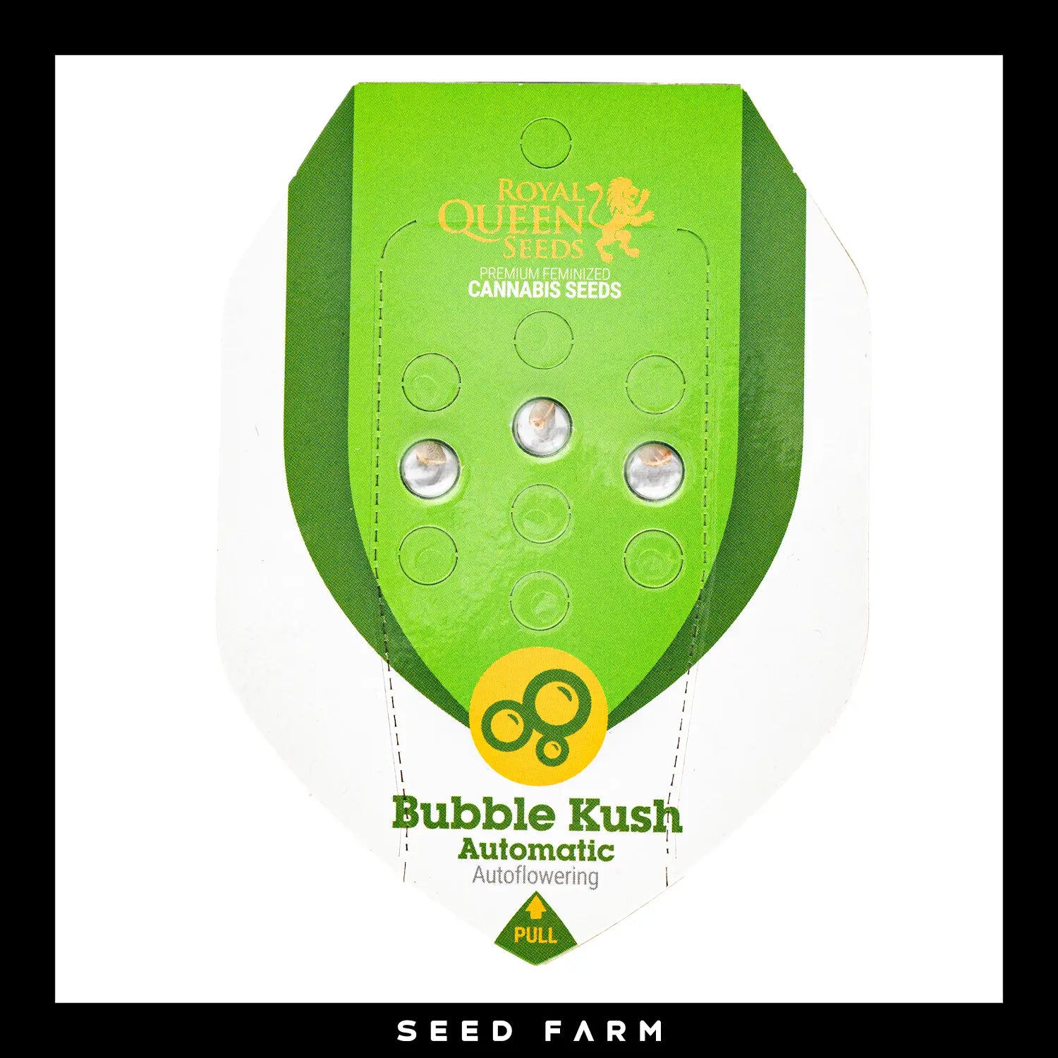 Royal Queen Seeds Bubble Kush, automatic Cannabis Samen, 3 Stück, Vorderansicht