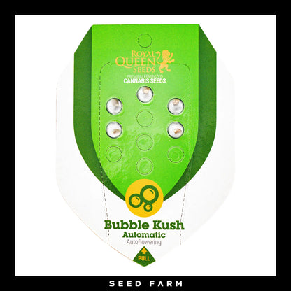 Royal Queen Seeds Bubble Kush, automatic Cannabis Samen, 5 Stück, Vorderansicht