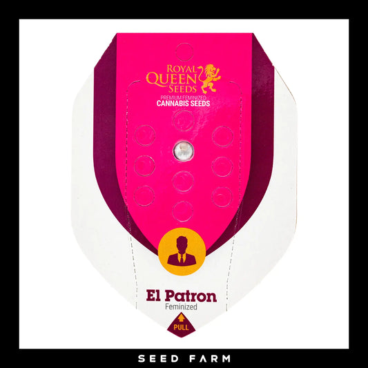 Royal Queen Seeds El Patron, feminisierte Cannabis Samen, Vorderansicht