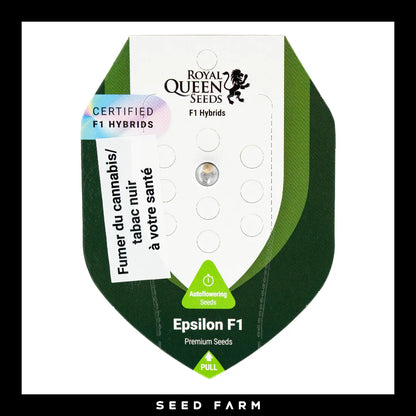 Royal Queen Seeds, Epsilon F1, automatische Cannabis Samen, 1 Stück, Vorderansicht