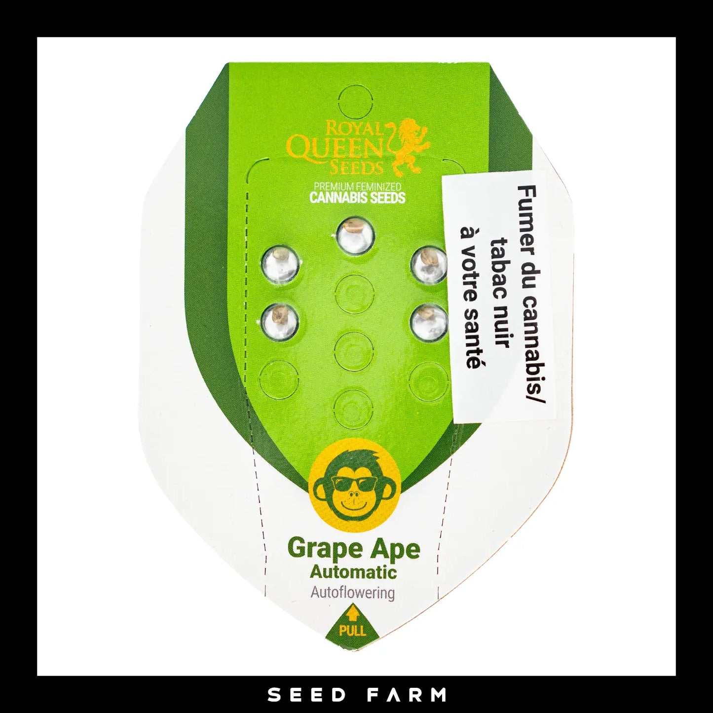 Royal Queen Seeds, Grape Ape, automatische Cannabis Samen, 5 Stück, Vorderansicht