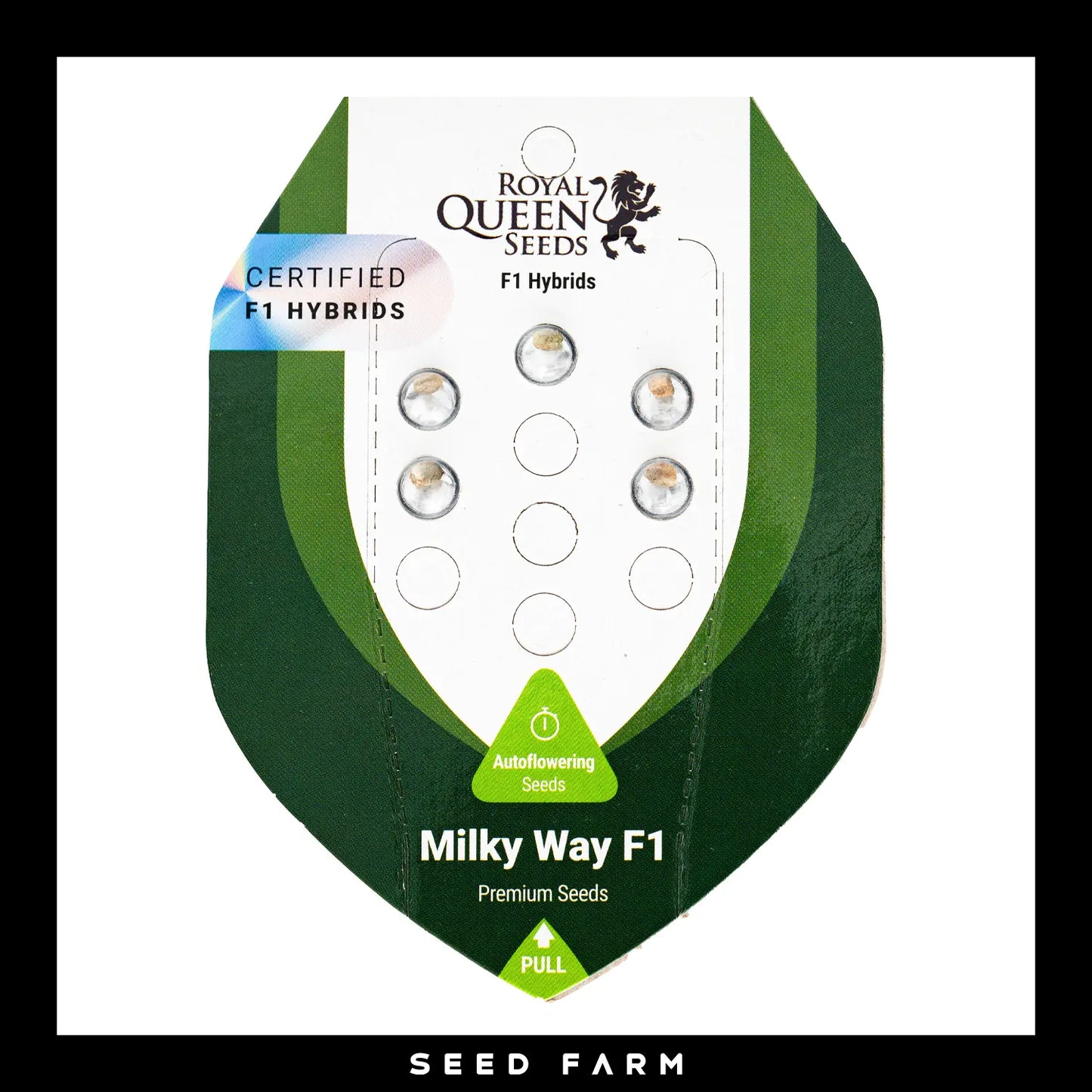 Royal Queen Seeds Milky Way F1, automatic Cannabis Samen, 5 Stück, Vorderansicht