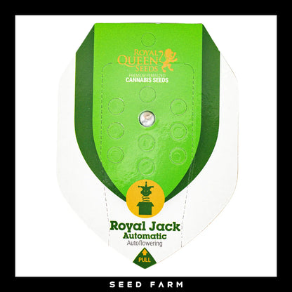 Royal Queen Seeds Royal Jack, automatic Cannabis Samen, Vorderansicht