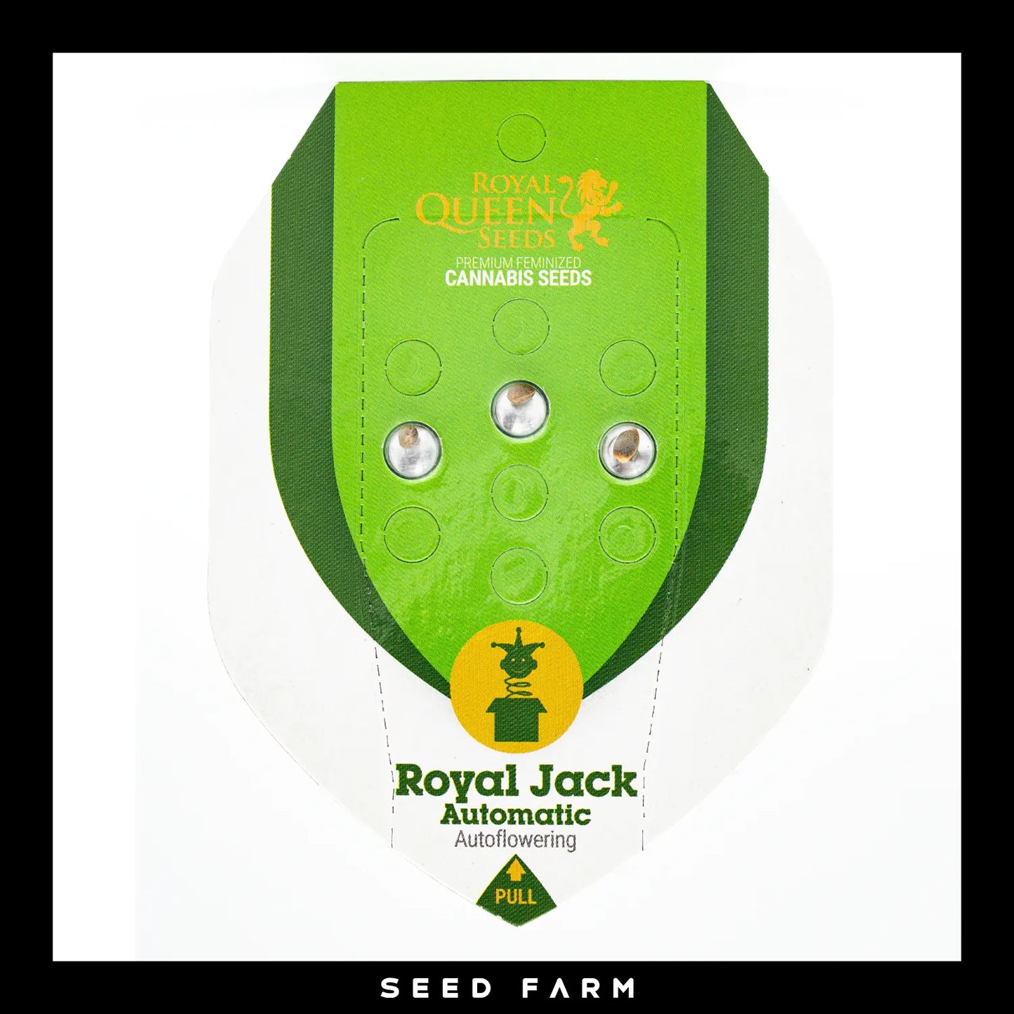 Royal Queen Seeds Royal Jack, automatic Cannabis Samen, 3 Stück, Vorderansicht