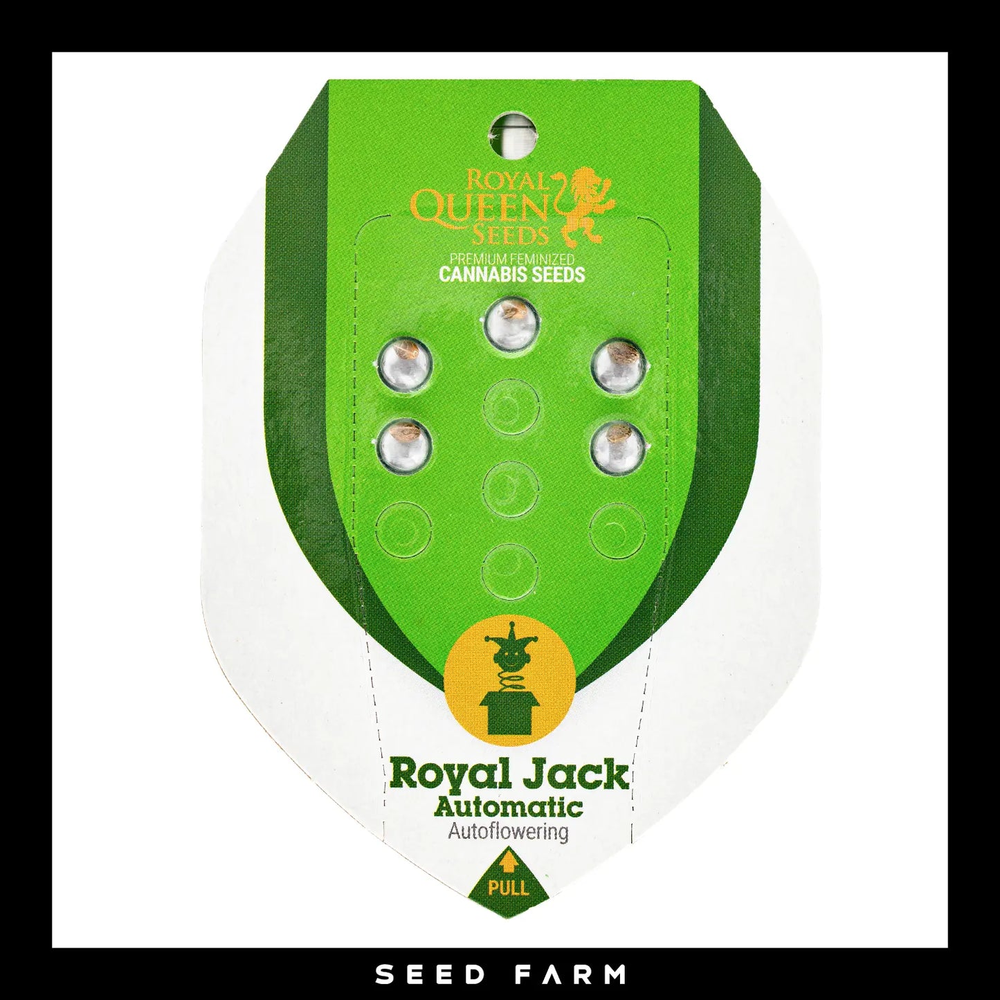 Royal Queen Seeds Royal Jack, automatic Cannabis Samen, 5 Stück, Vorderansicht