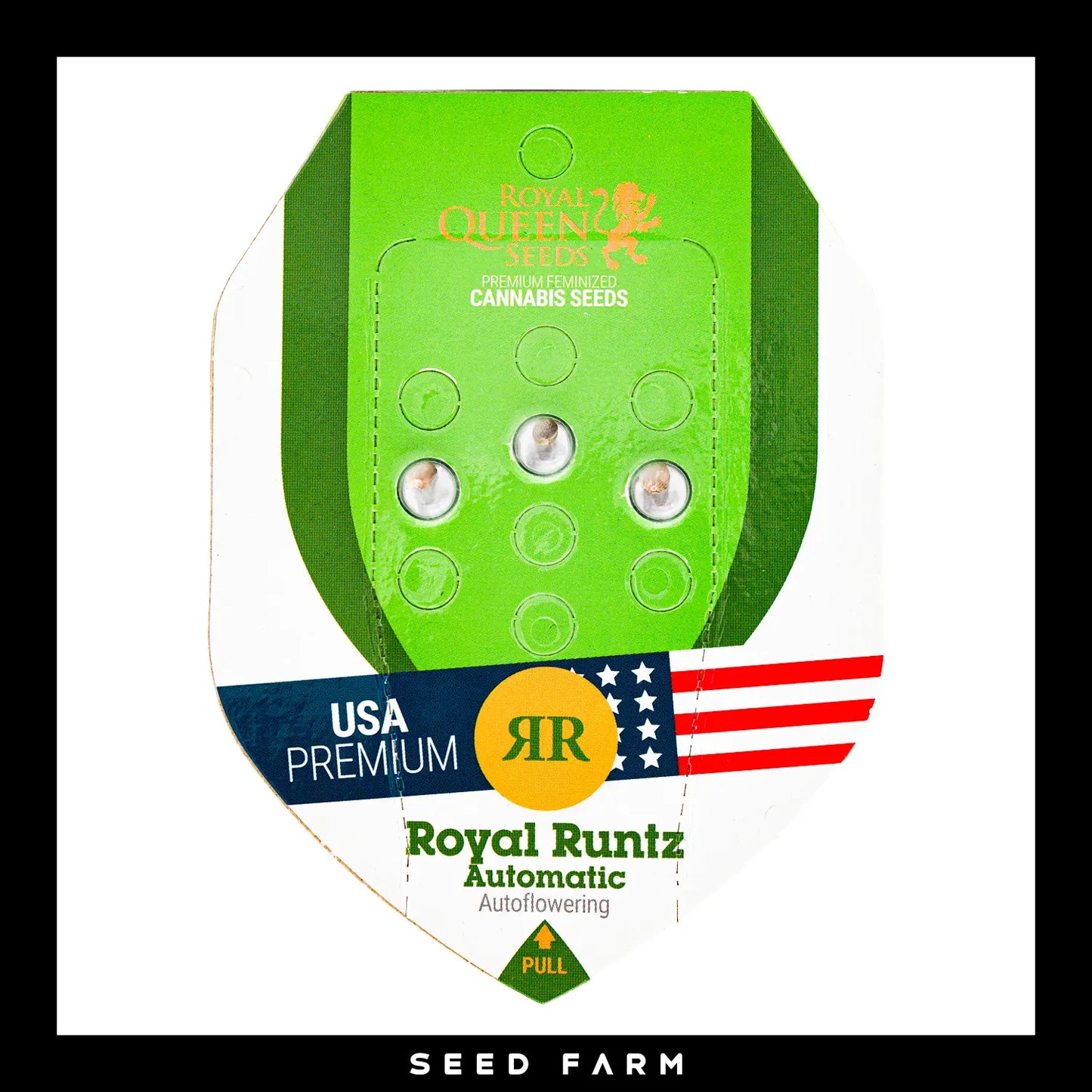 Royal Queen Seeds Royal Runtz, automatic Cannabis Samen, 3 Stück, Vorderansicht